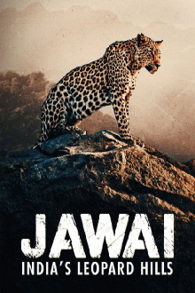 Jawai: India's Leopard Hills Trailer