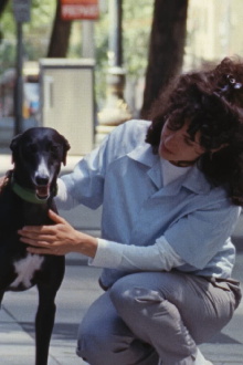 Jeanette Is the Dog Trailer