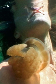 Jellyfish Lake Trailer