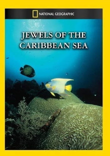 Jewels of the Caribbean Sea Trailer