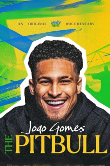 Joao Gomes: The Pitbull Trailer