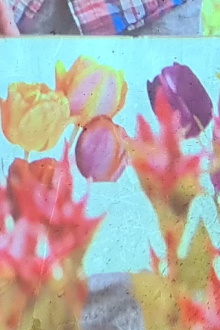 jolies fleurs une vie meilleure Trailer