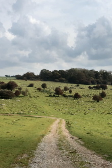 Journey to Avebury Trailer