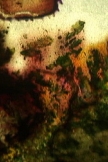 Jours en fleurs Trailer