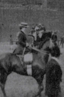 Judging Ladies' Saddle Horses Trailer