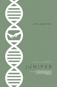 Juniper Trailer