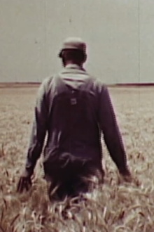 Just Be Glad To Be Here Trailer