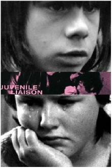 Juvenile Liaison Trailer