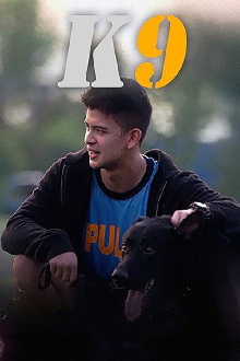K9 Trailer