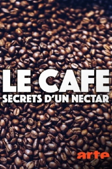 Kaffee - Geheimnisse eines Wundertranks Trailer
