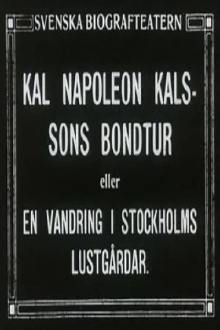 Kal Napoleon Kalsson's Stroke of Luck Trailer