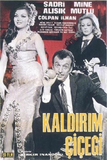 Kaldırım Çiçeği Trailer