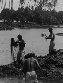 Kanaka Fishermen Casting the Throw Net, Hilo, H.I. Trailer