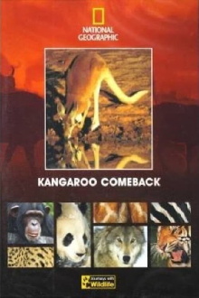Kangaroo Comeback Trailer