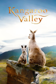 Kangaroo Valley Trailer