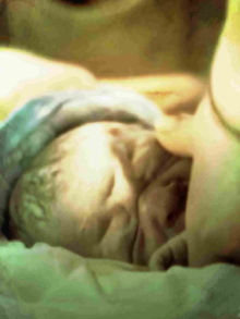 Kata's Motherhood Trailer