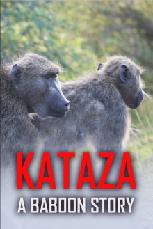Kataza a Baboon Story Trailer