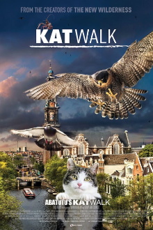 Katwalk Trailer