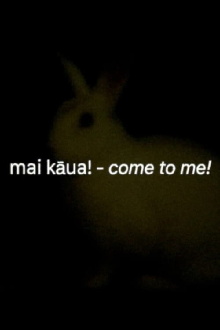 kāua - we (you and i) Trailer