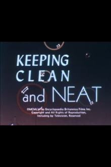 Keeping Clean and Neat Trailer