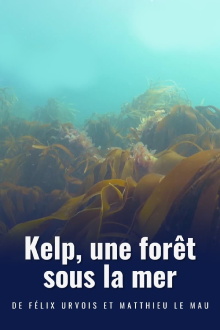 Kelp, une forêt sous la mer Trailer