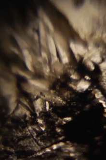 Ken Jacobs / diNMachine @ The Nervous Magic Lantern Festival Trailer