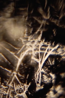 Ken Jacobs / Rick Reed & Tara Bhattacharya @ The Nervous Magic Lantern Festival Trailer