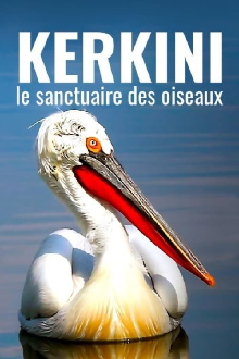 Kerkini: The Bird Sanctuary Trailer