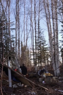 K'i Tah Amongst the Birch Trailer