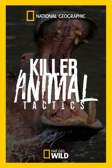 Killer Animal Tactics Trailer