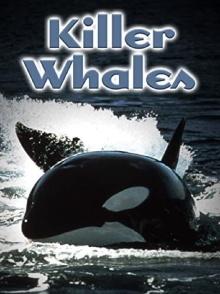 Killer Whales: Up Close and Personal Trailer
