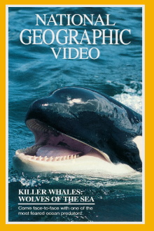 Killer Whales: Wolves of the Sea Trailer