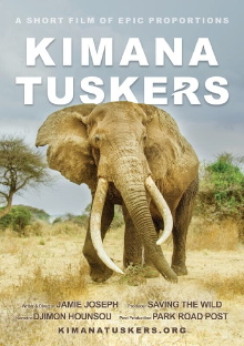 Kimana Tuskers Trailer
