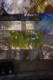 Kinda Cool to Expend This Much Drool Trailer