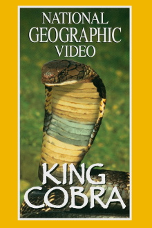 King Cobra Trailer