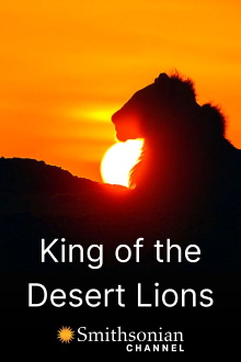 King of the Desert Lions Trailer