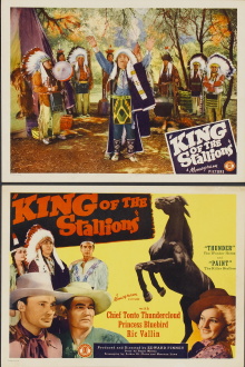 King of the Stallions Trailer