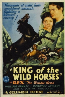 King of the Wild Horses Trailer