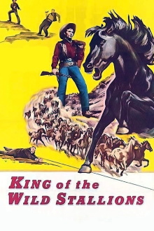 King of the Wild Stallions Trailer