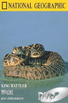 King Rattler Trailer