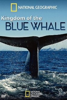 Kingdom of the Blue Whale Trailer