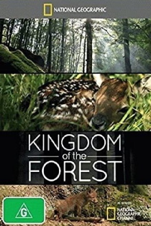 Kingdom of the Forest Trailer