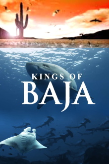 Kings of Baja Trailer