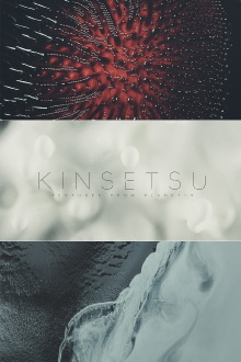 Kinsetsu Textures from Planet-9 Trailer