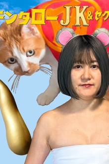 Kintaro JK & Sexual Harassment Shark: No! Absolutely Not! Flirty Ore-Ore Scam! Trailer