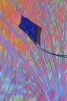 Kite Trailer