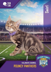 Kitten Bowl VIII Special Trailer