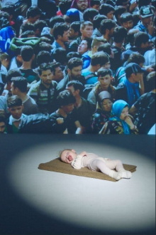 Kitten Or Refugee? Trailer