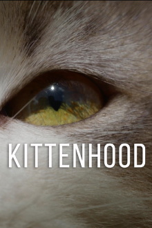Kittenhood Trailer