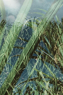 KMK Cane Trailer